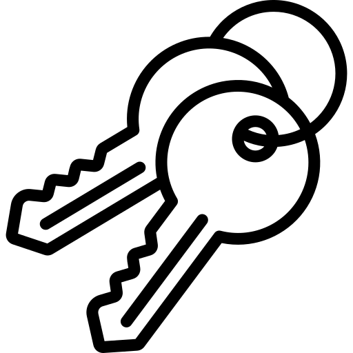 Dual Keys Icon